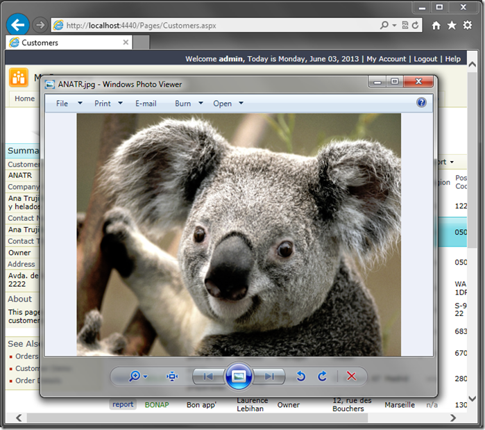 The koala image is displayed. The file name is inherited from the CustomerID.