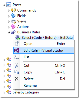 Editing the rule in visual studio.