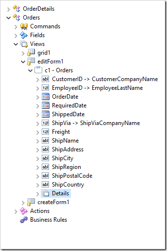 Details data field has been created in 'editForm1' view of Orders controller.