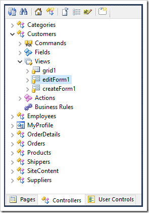 Editing the "editForm1" view of Customers controller.